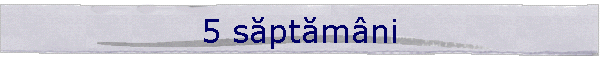 5 săptămni