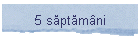 5 săptămni