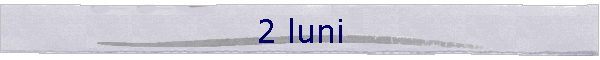 2 luni