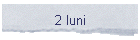 2 luni
