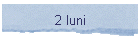 2 luni