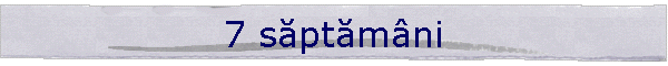 7 săptămni