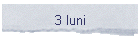 3 luni