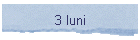 3 luni
