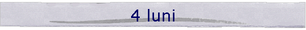 4 luni