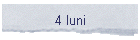 4 luni