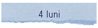 4 luni