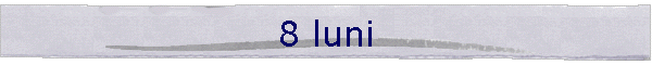 8 luni