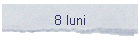 8 luni