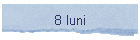 8 luni