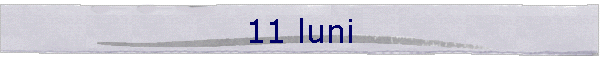 11 luni