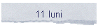 11 luni