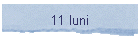 11 luni